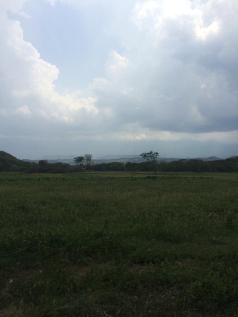 Finca en venta en Honda  Tolima