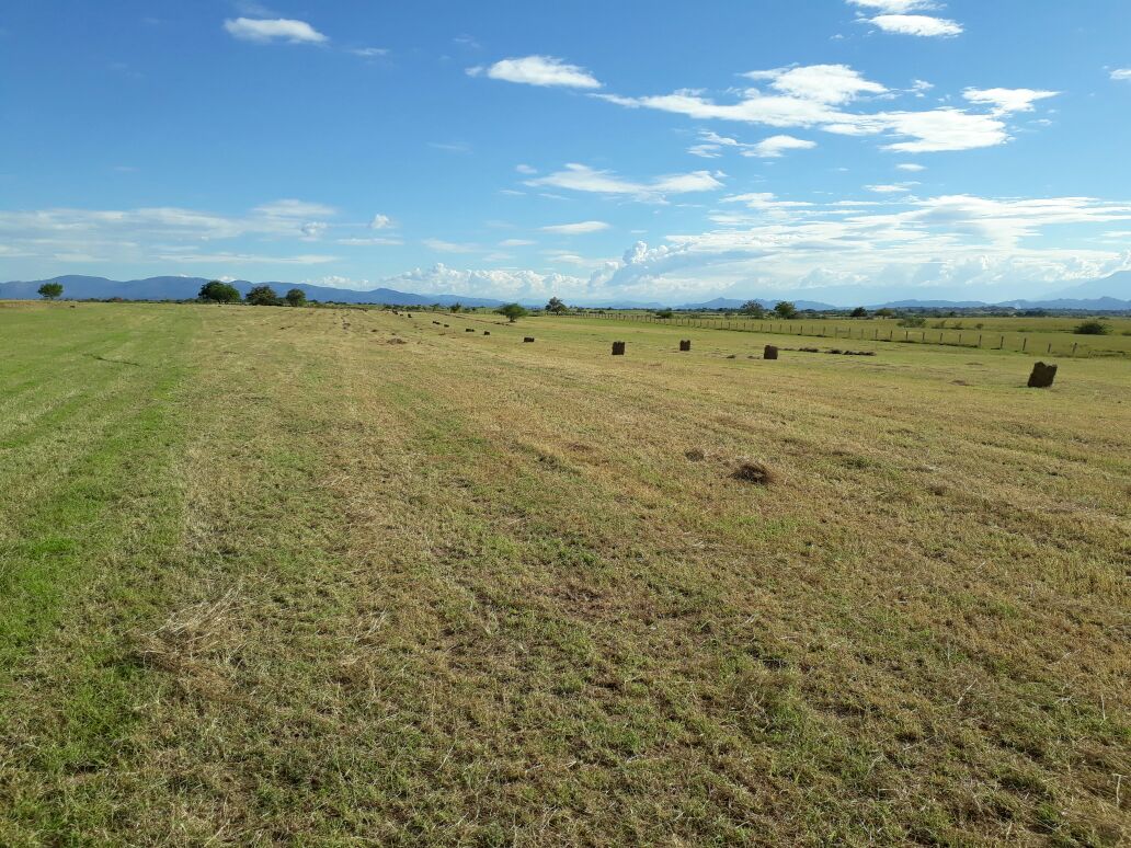 Finca en venta en Saldaña  Tolima