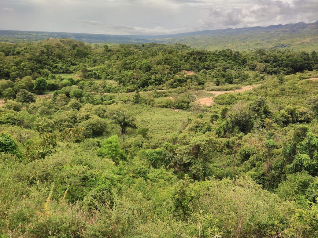 Finca en venta en Beltran  Cundinamarca