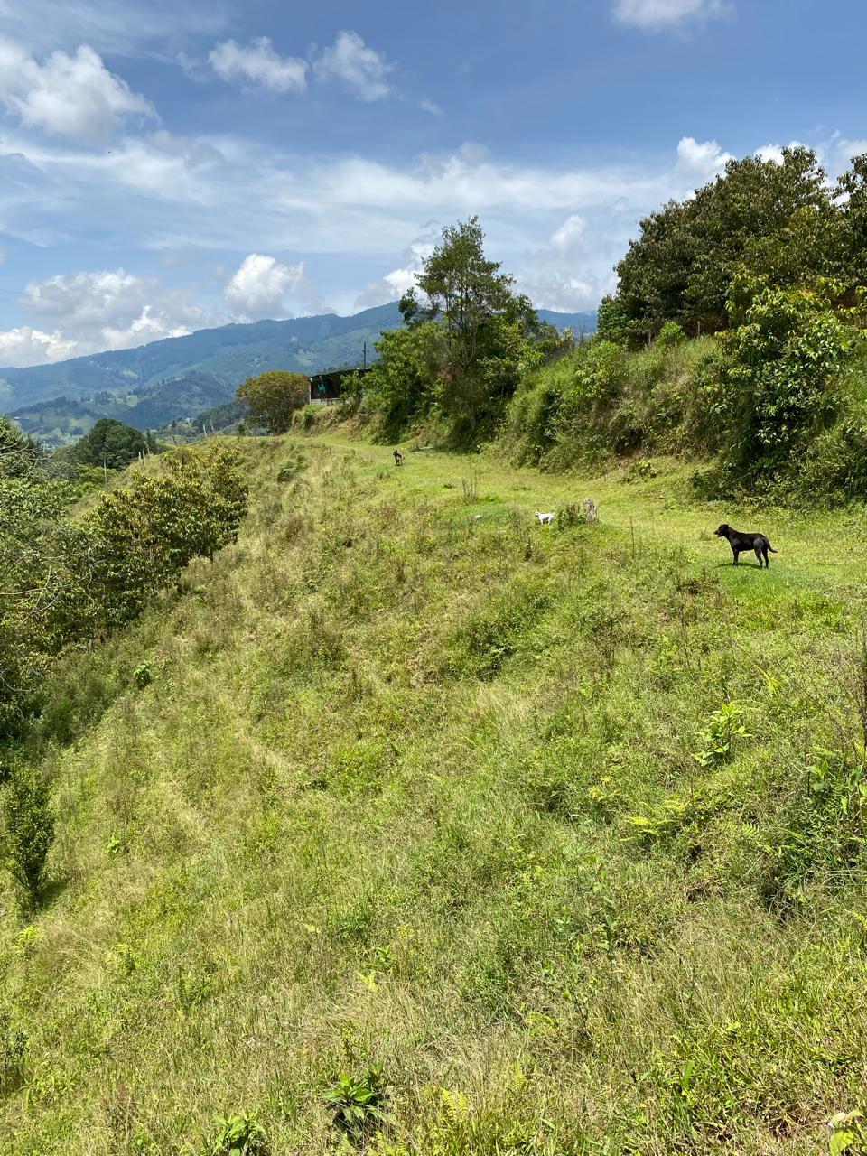 Lote en venta en Caldas