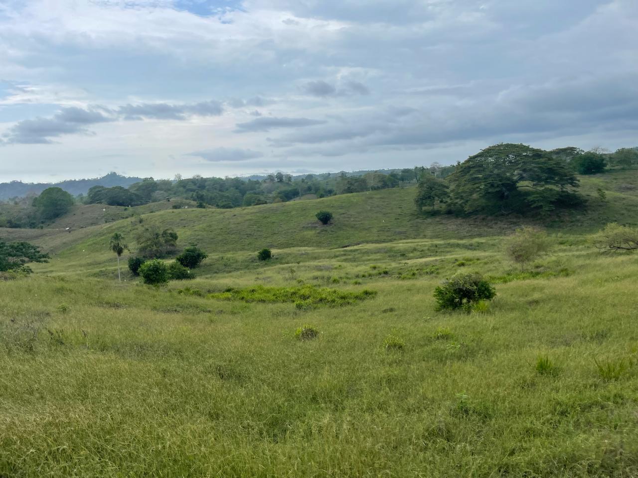 Finca en venta en Córdoba cerca de Montería