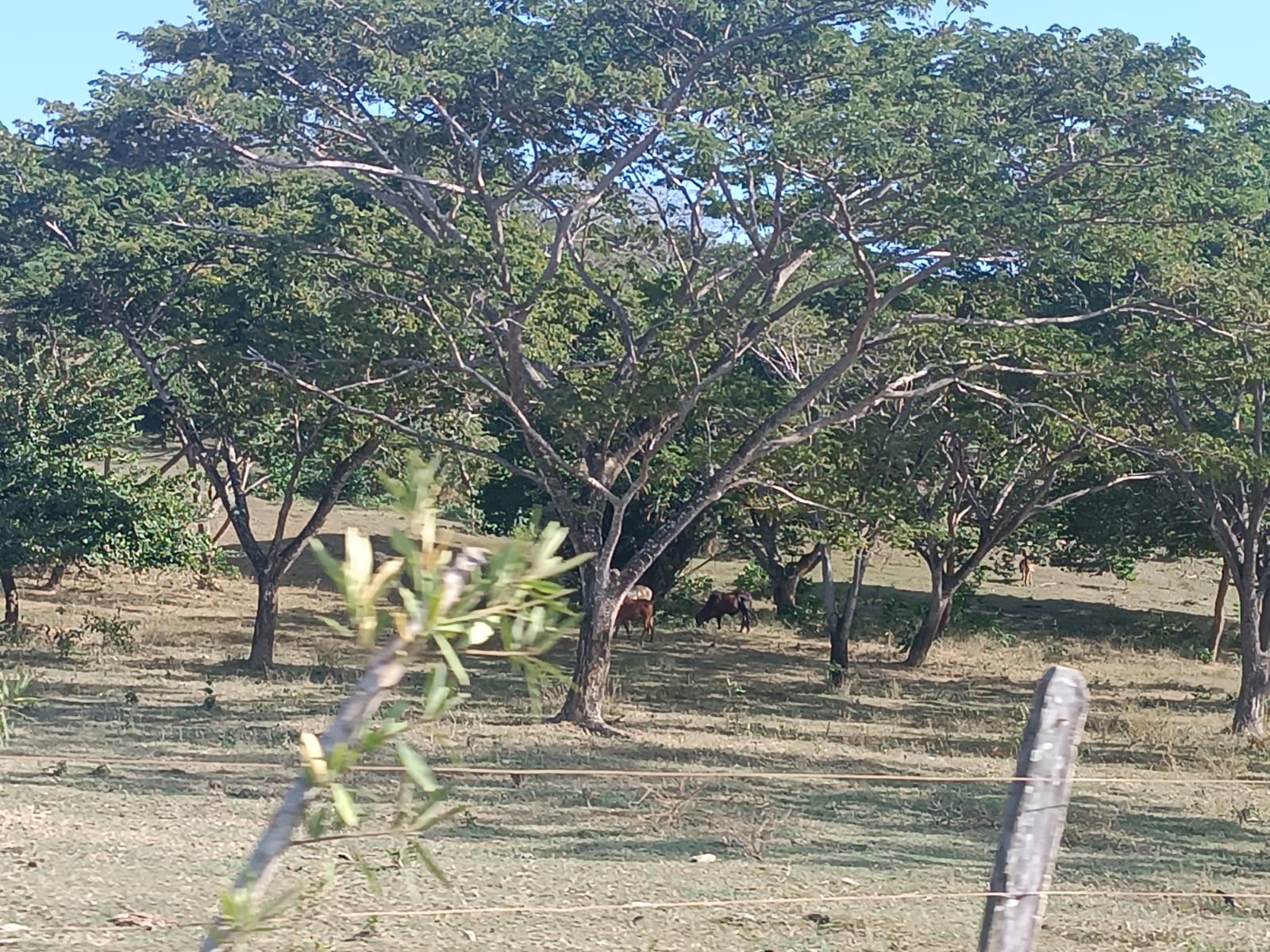 Finca en venta en Puerto Escondido Cordoba
