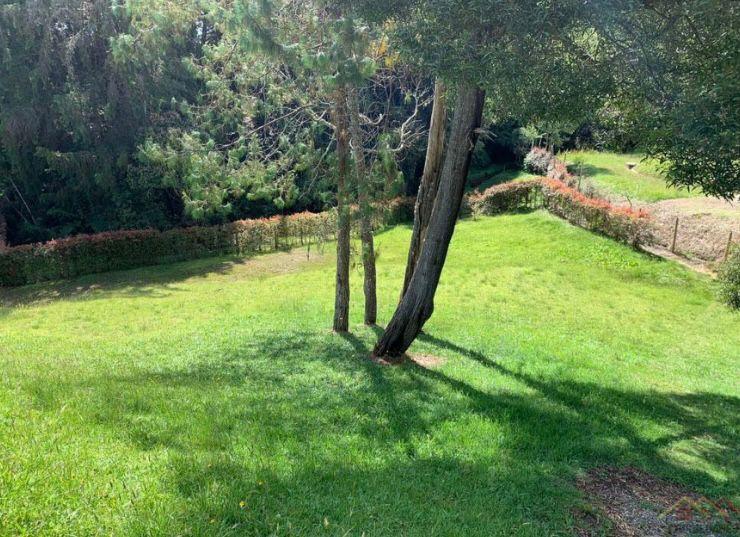 Lote en venta en las Palmas Medellin