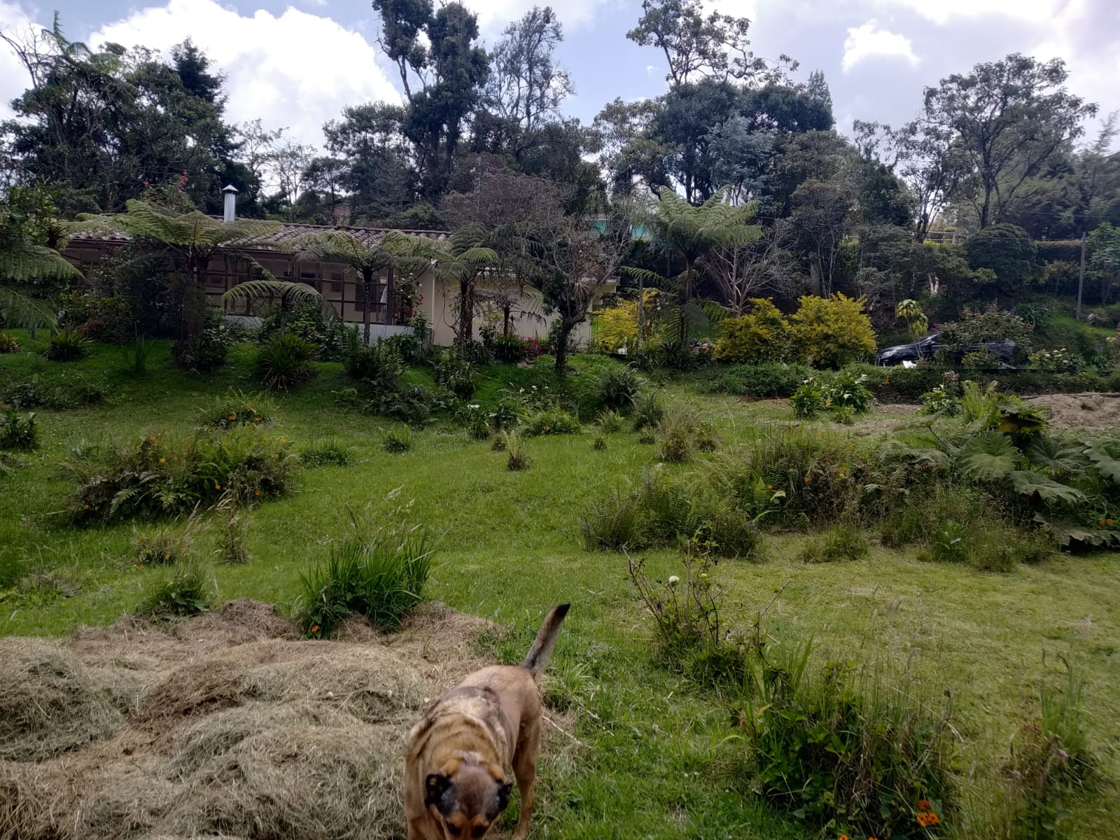 Casa finca  en venta en Santa Elena