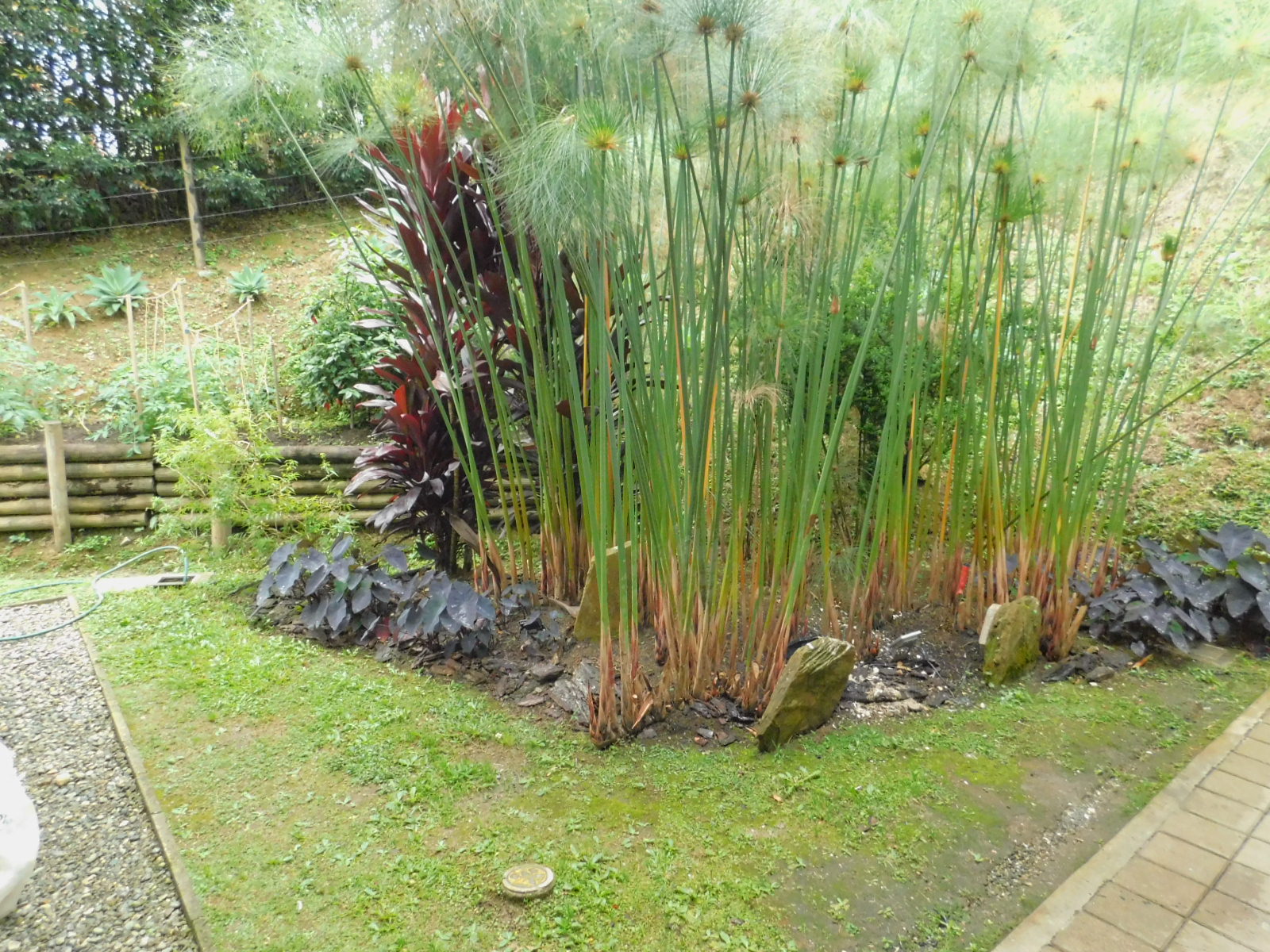 Casa en venta en las Palmas Medellin