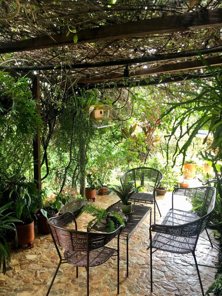 SE VENDE FINCA EN LA PINTADA  (ANTIOQUIA)