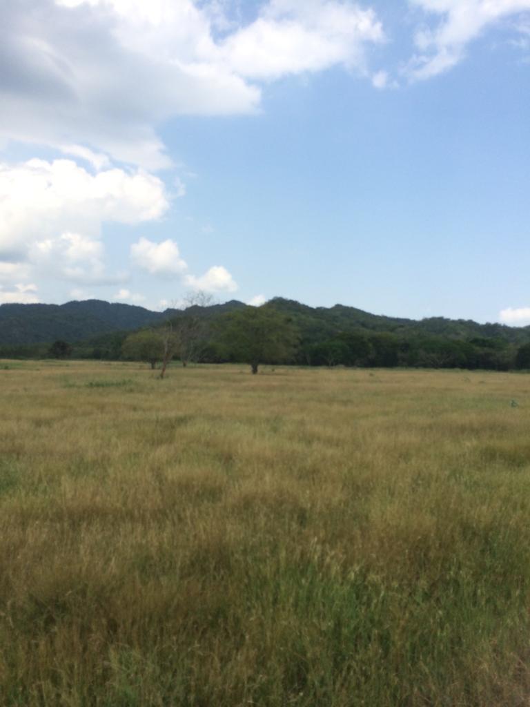 Finca en venta en Honda  Tolima