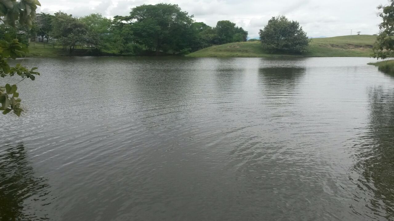 Finca en venta en Saldaña  Tolima