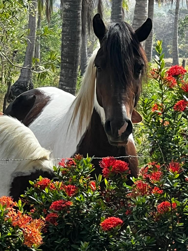 Hotel para la venta en Moñitos Córdoba