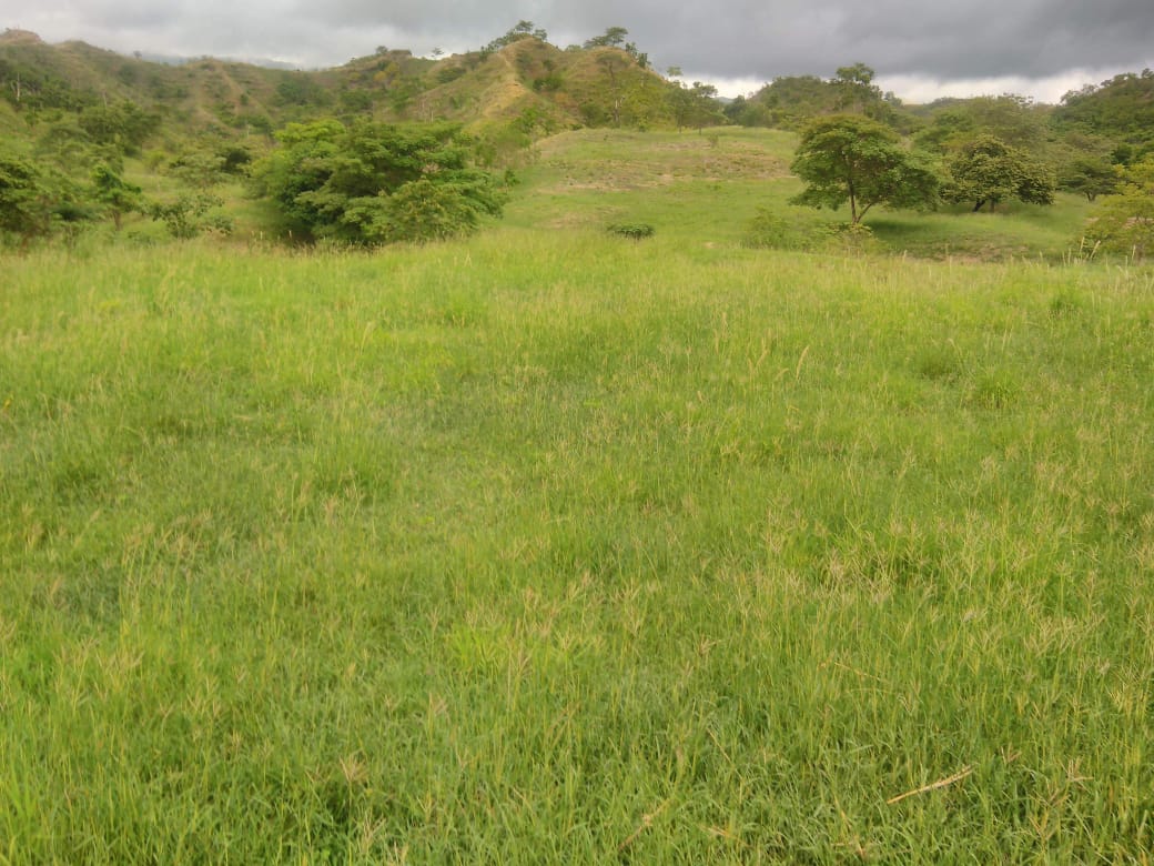 Finca en venta en Beltran  Cundinamarca