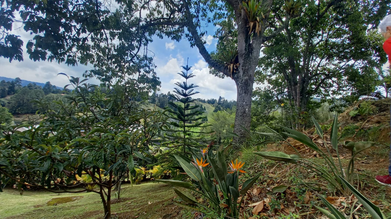 Casa campestre para la venta en Guarne sector La Clarita