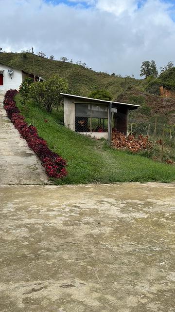 Finca Agropecuaria en Venta en Santo Domingo Antioquia