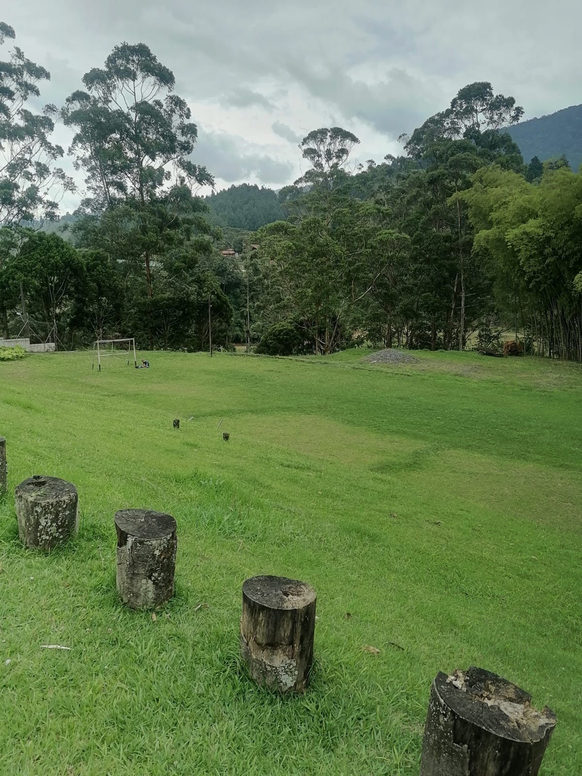 Lote industrial  para venta  en Caldas sobre la vía