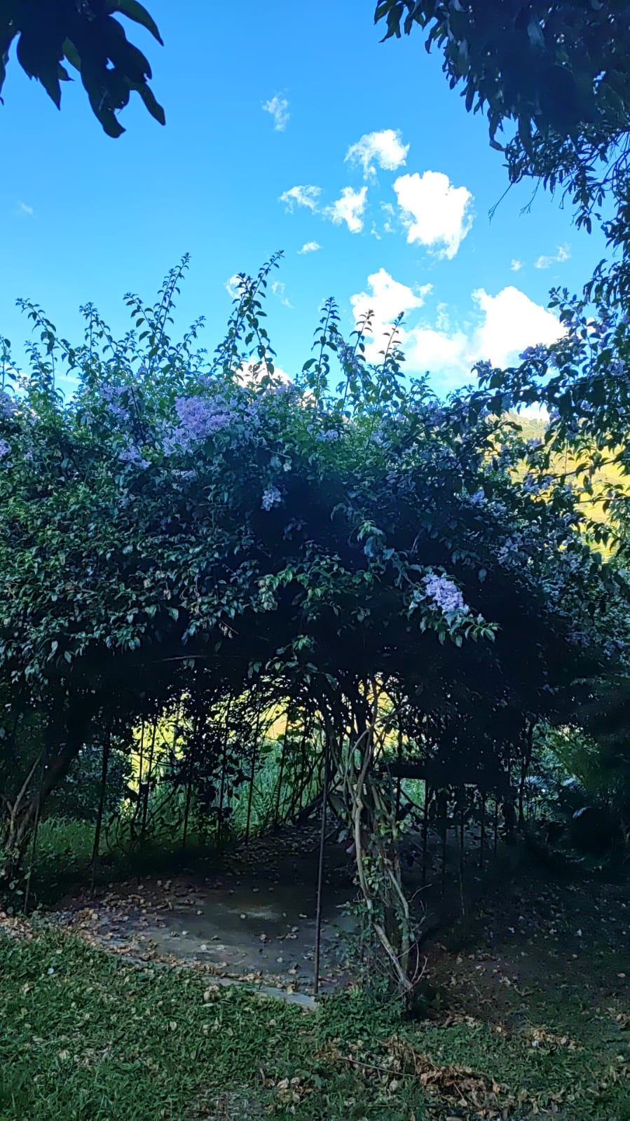 Vencambio Finca con dos casas, vereda de Sopetrán