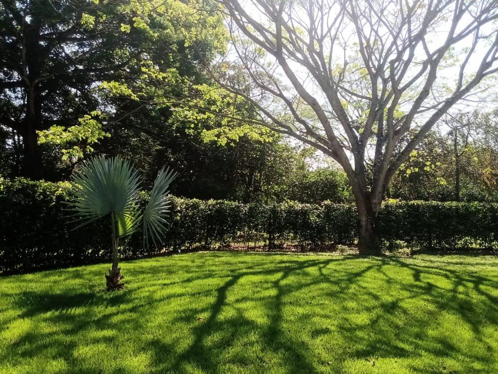 Finca en venta Sopetran Antioquia