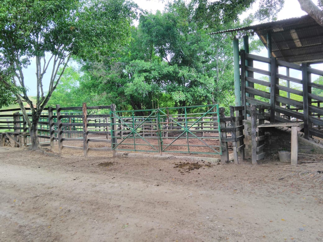 Finca en venta en Beltran  Cundinamarca