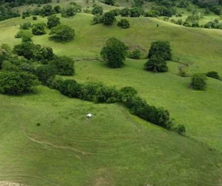 Finca en venta en Córdoba cerca de Montería