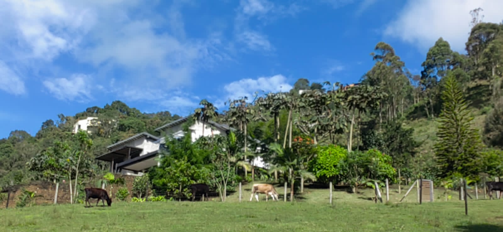 Lote para la venta en el Retiro cerca de la represa la Fe