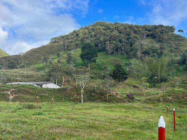 Finca Agropecuaria en Venta en Santo Domingo Antioquia