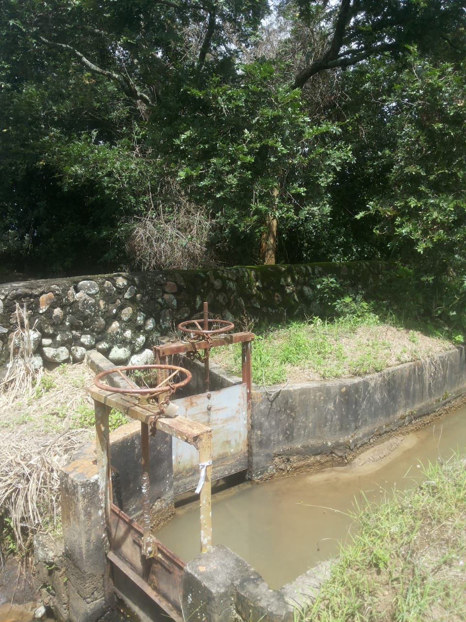 Finca en venta en el Tolima