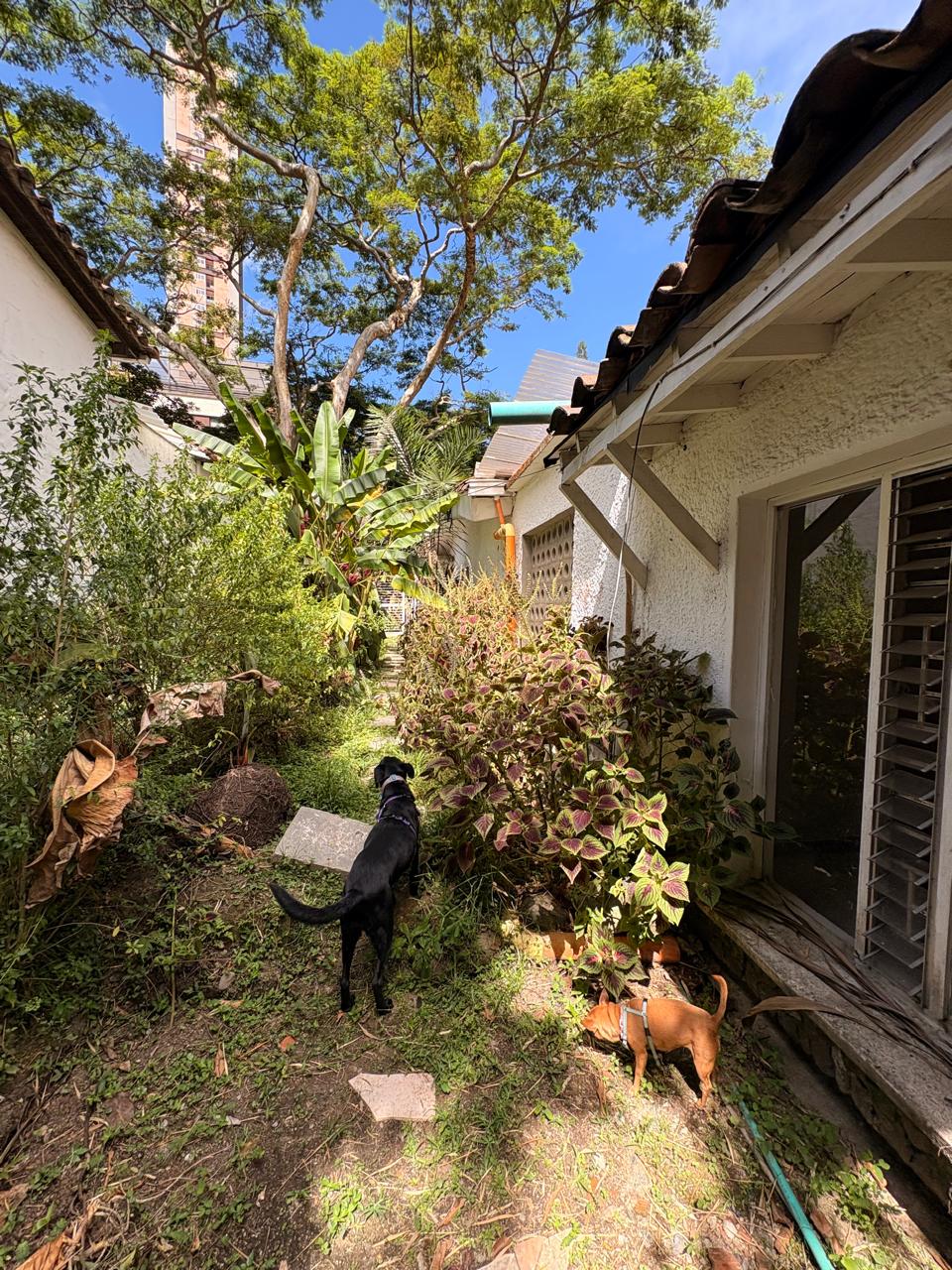 Casa Lote para venta en Poblado  Castropol