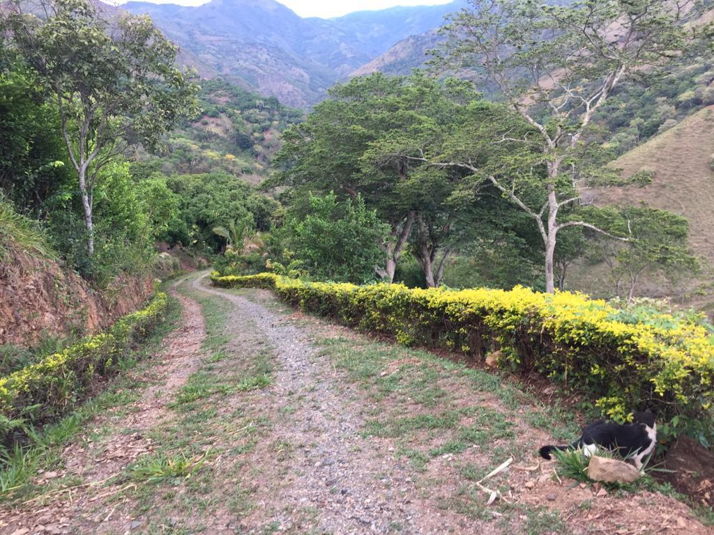 Vencambio Finca con dos casas, vereda de Sopetrán