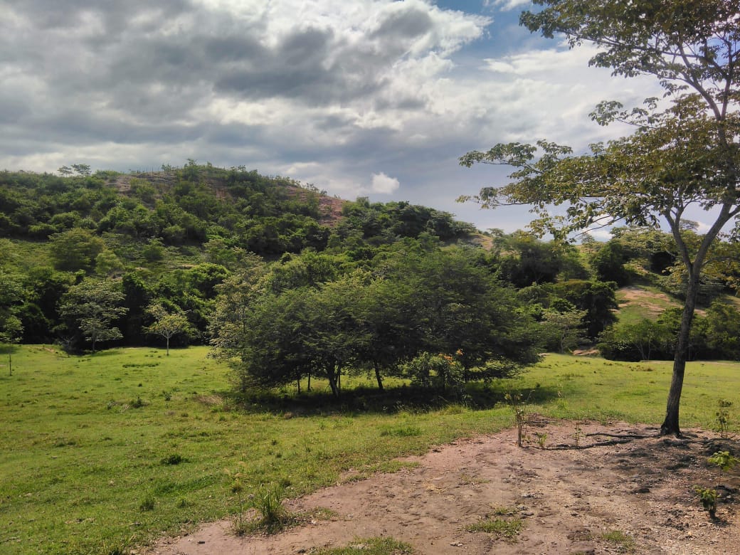 Finca en venta en Beltran  Cundinamarca