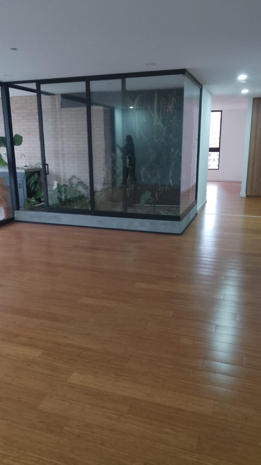 Apartamento en Venta en El Poblado Medellin Zona Plana