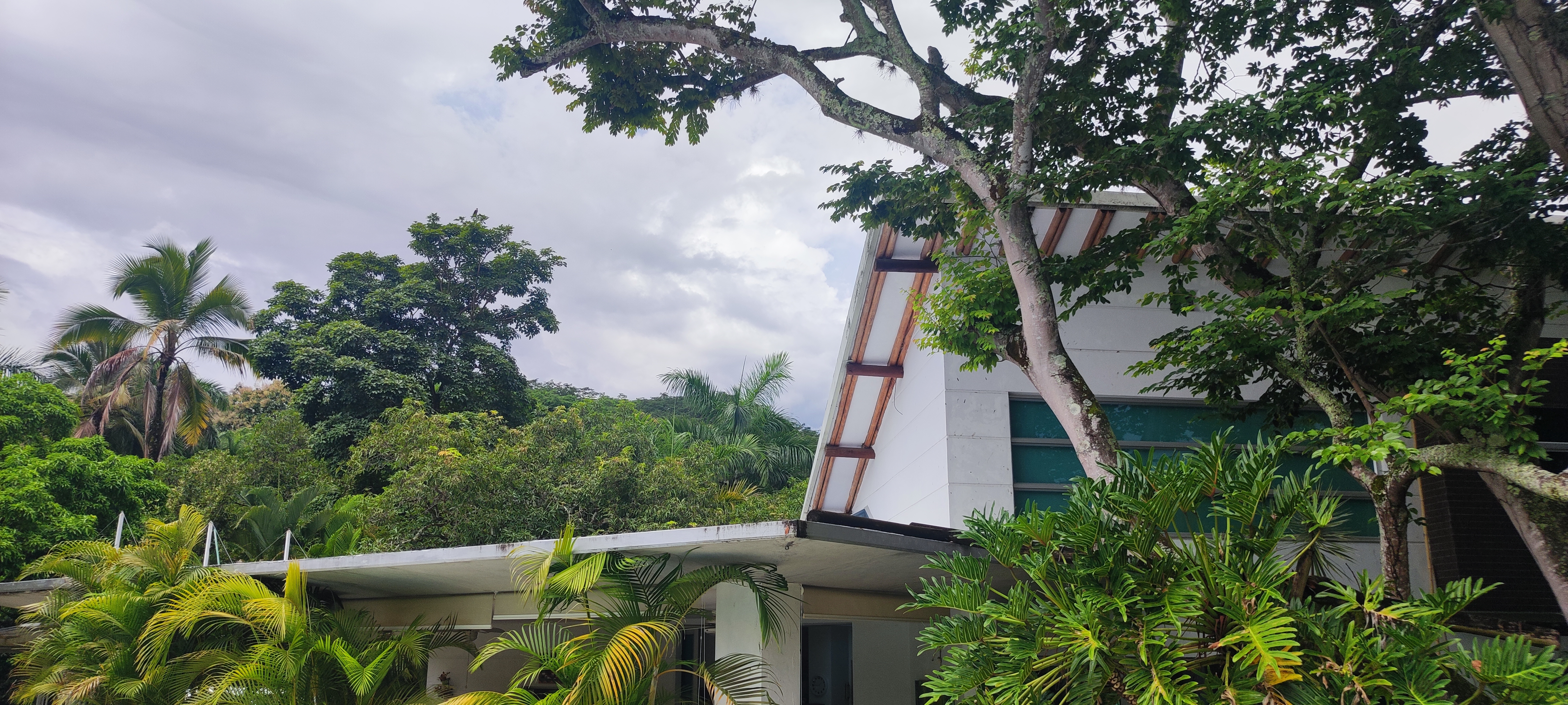 Venta de finca en San Jeronimo El Hato