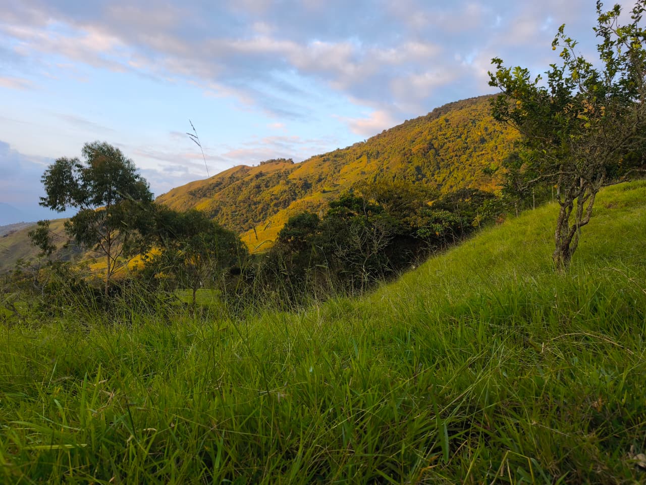 Finca en venta Titiribí Antioquia sector jardín