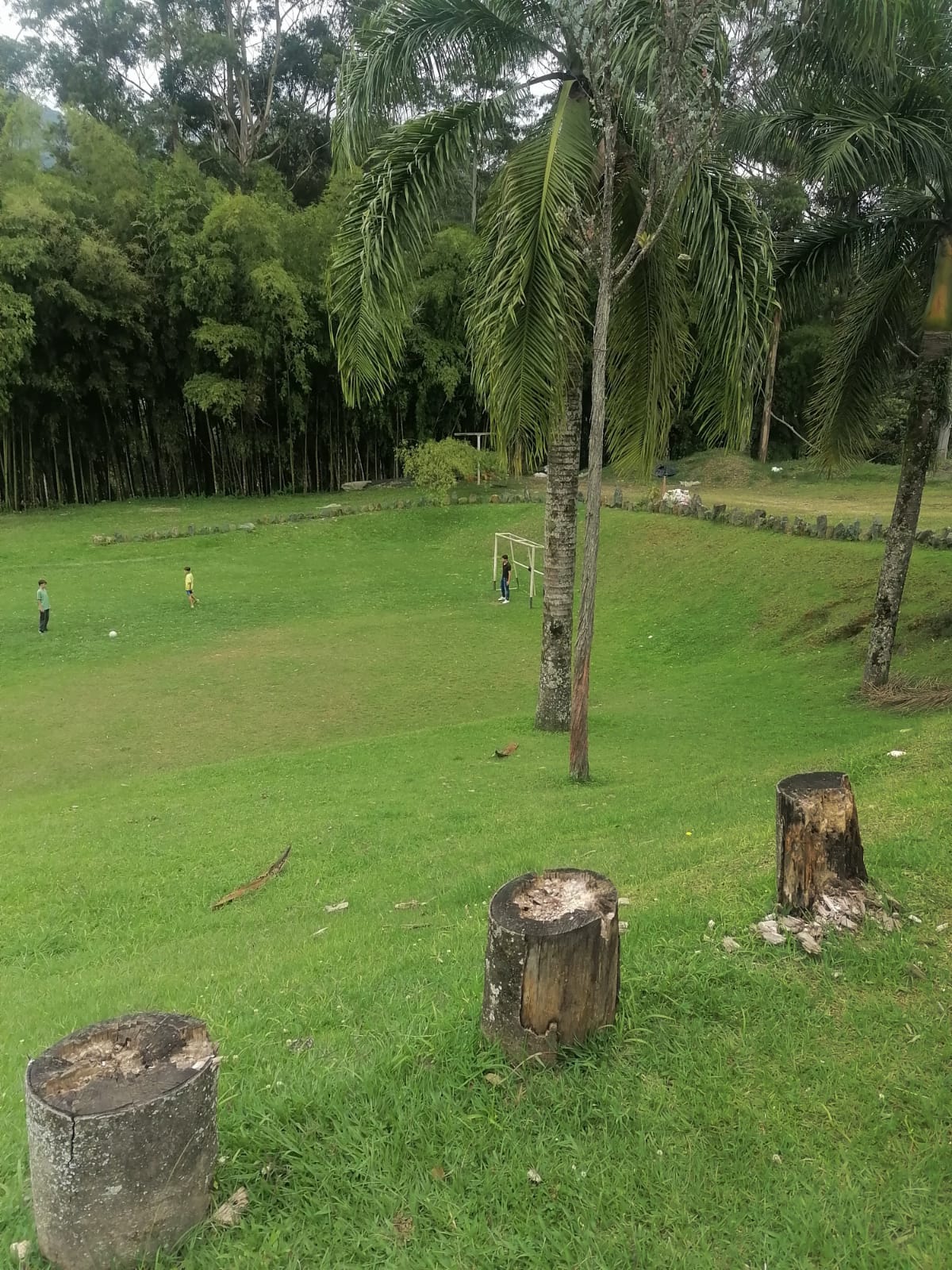 Lote industrial  para venta  en Caldas sobre la vía