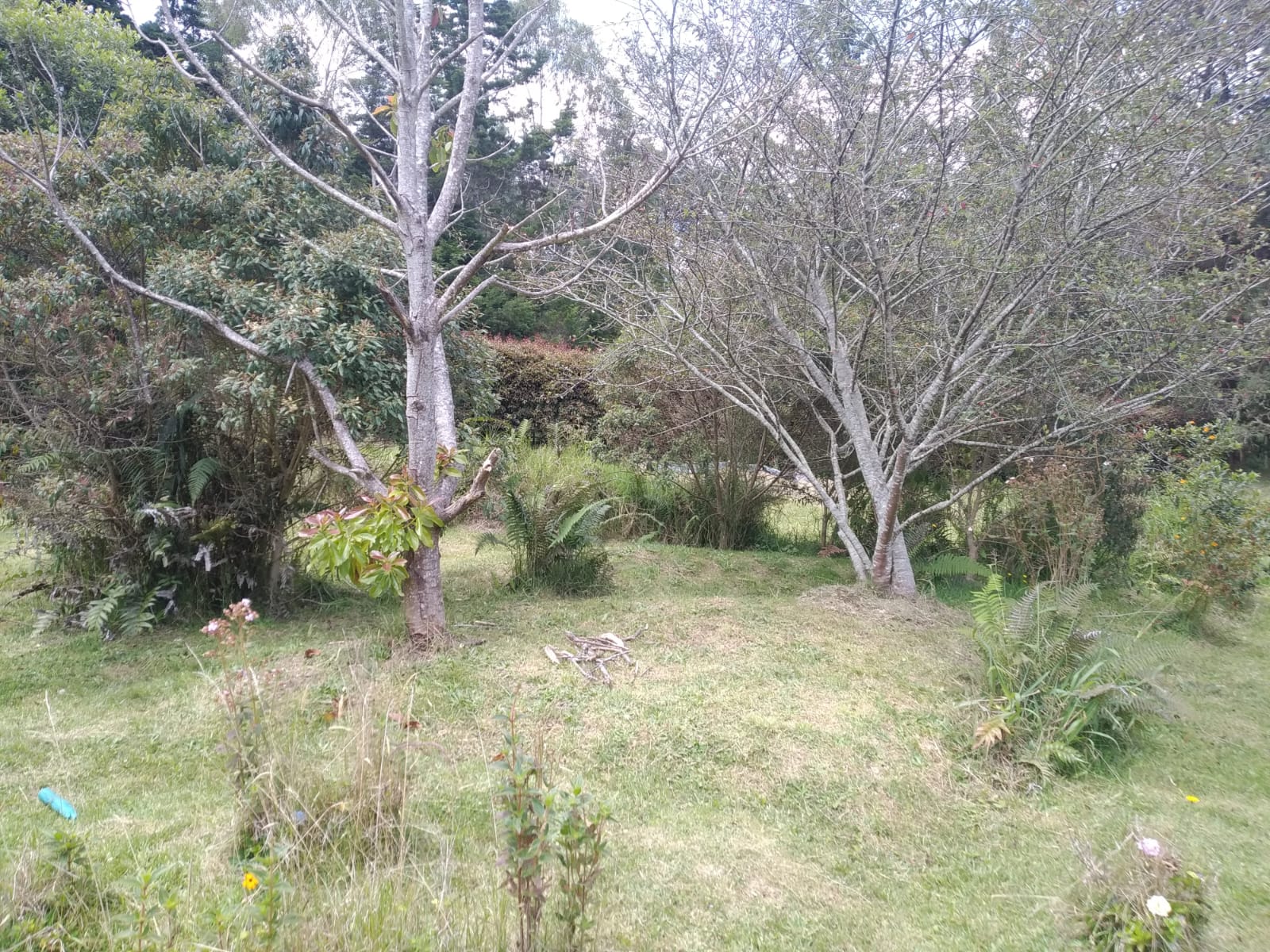 Casa finca  en venta en Santa Elena