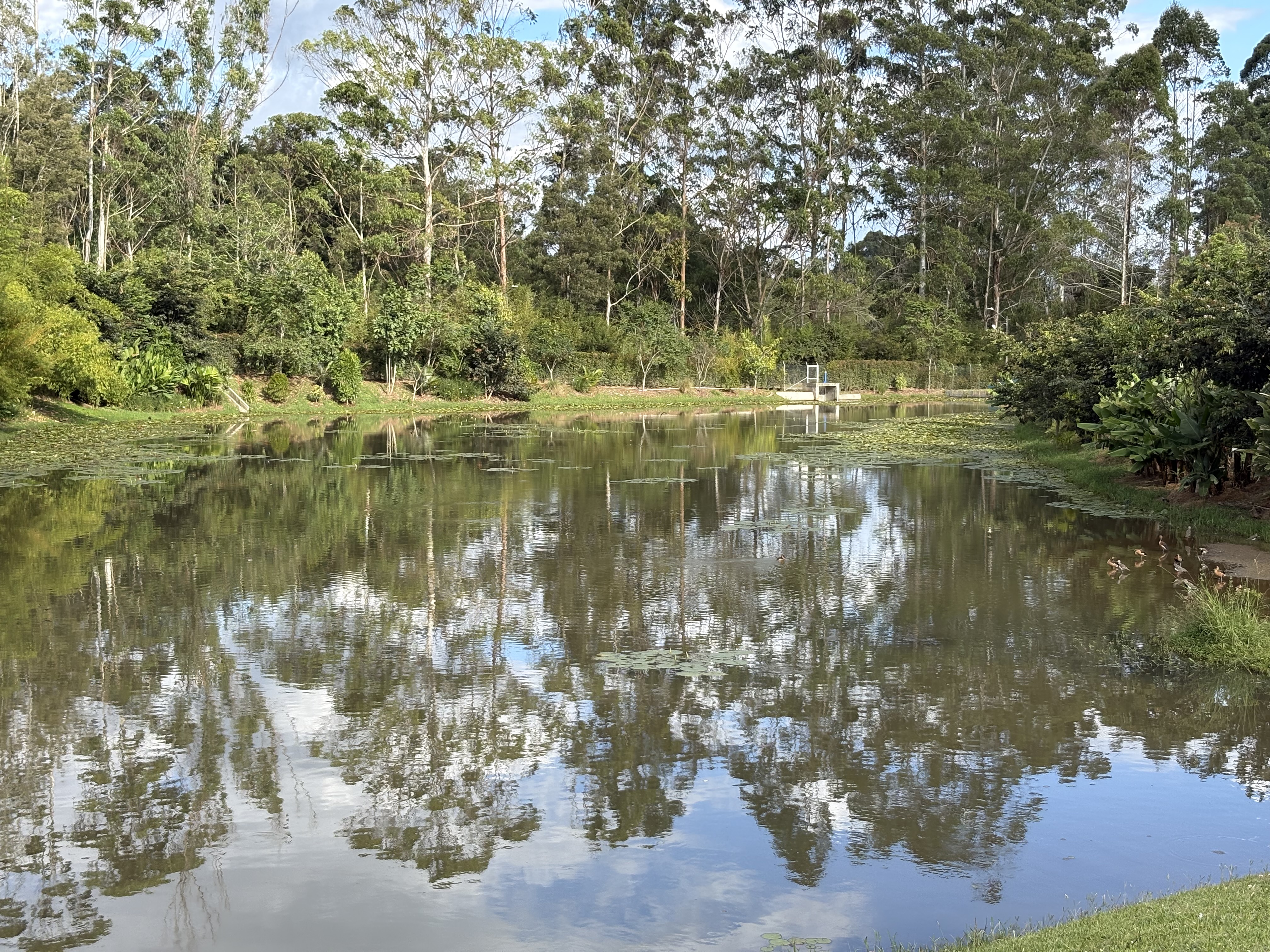 Lote para la venta en Rionegro sector El Tablazo