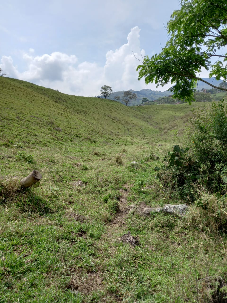 Lote  para la venta en Girardota  Antioquia