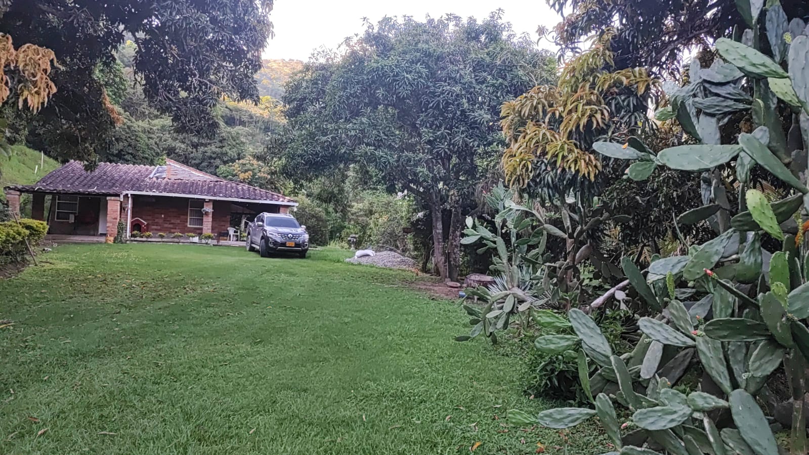Vencambio Finca con dos casas, vereda de Sopetrán