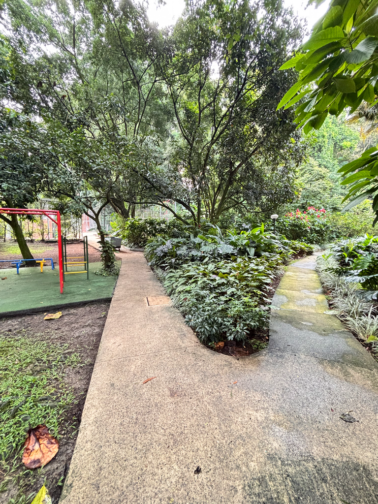 vendo apartamento en Medellín poblado, patio bonito