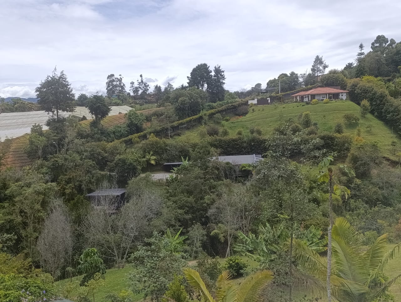 Venta De Finca Con Precio De Oportunidad En El Oriente Antioquieño