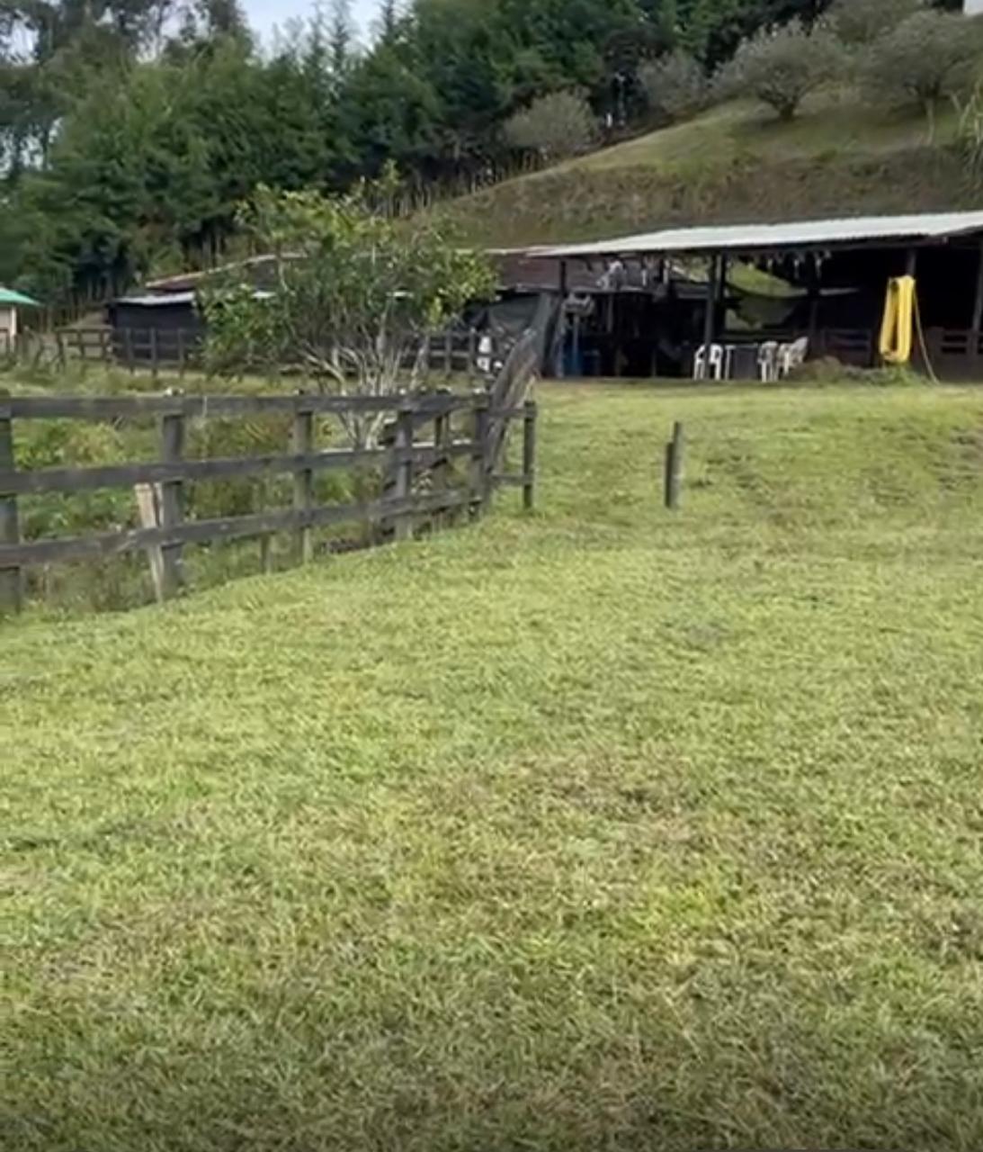 Venta de Finca en Rionegro Antioquia cerca al Aeropuerto