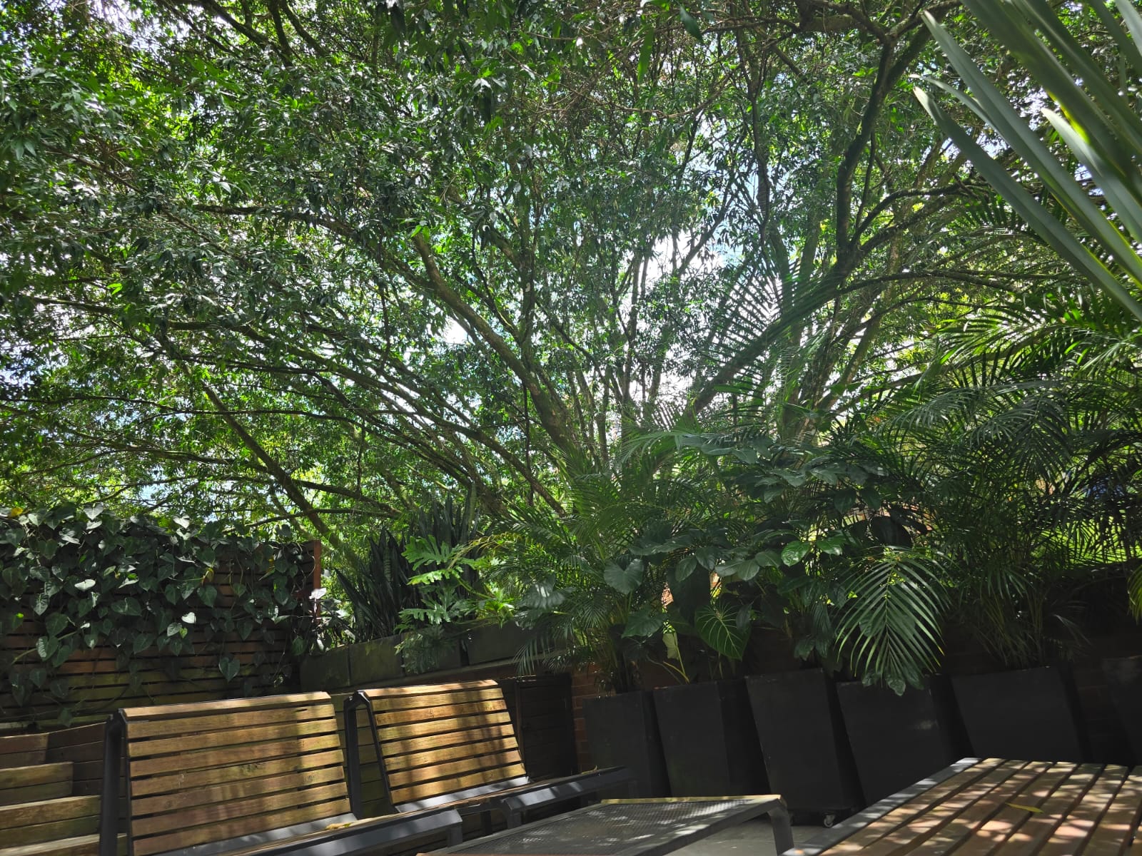 Apartamento para la venta Envigado Antioquia