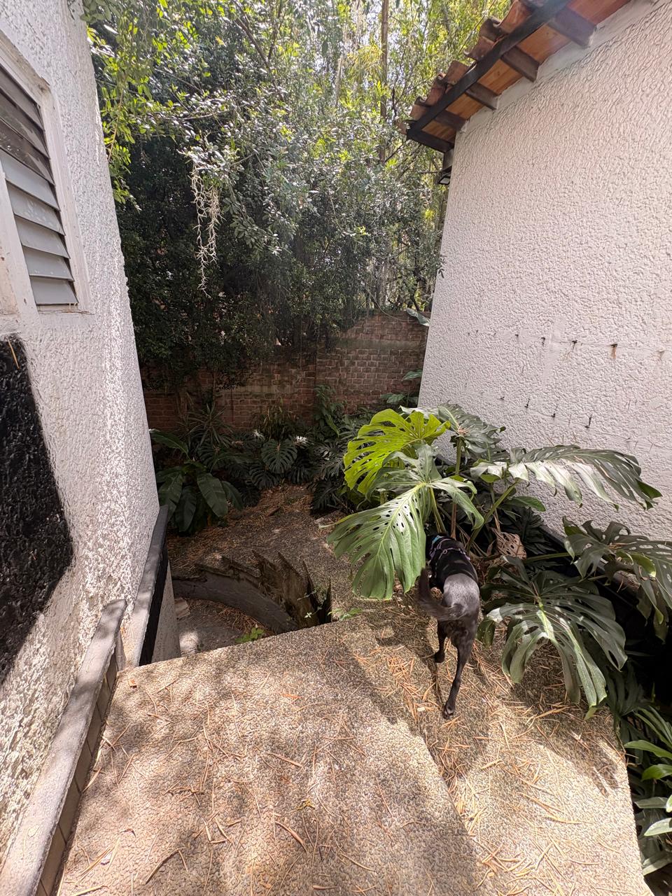 Casa Lote para venta en Poblado  Castropol