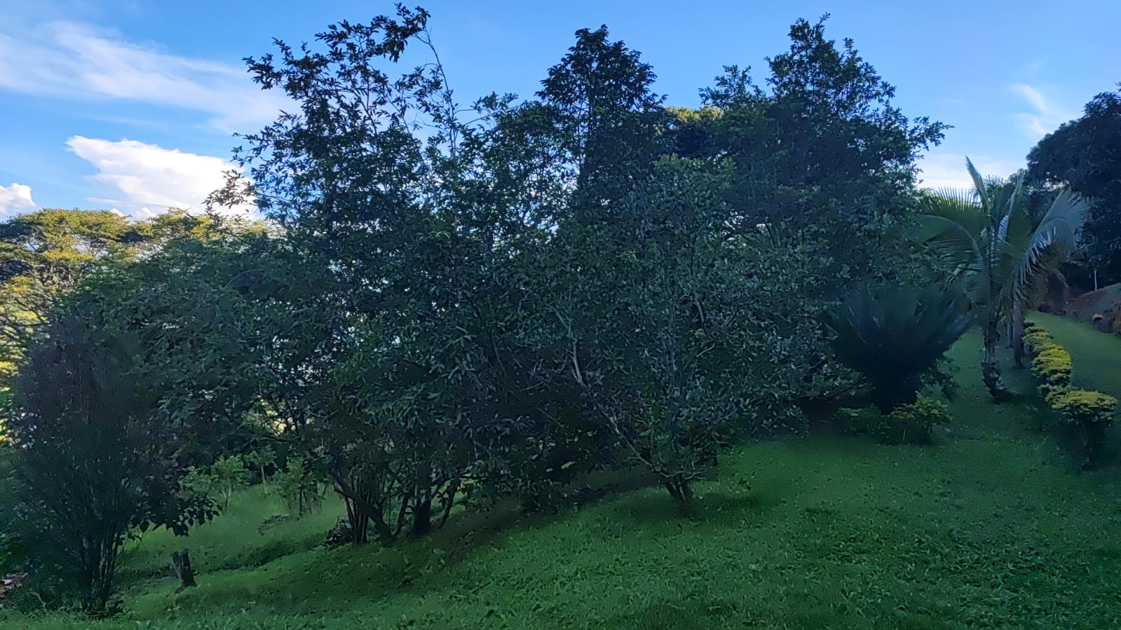 Vencambio Finca con dos casas, vereda de Sopetrán