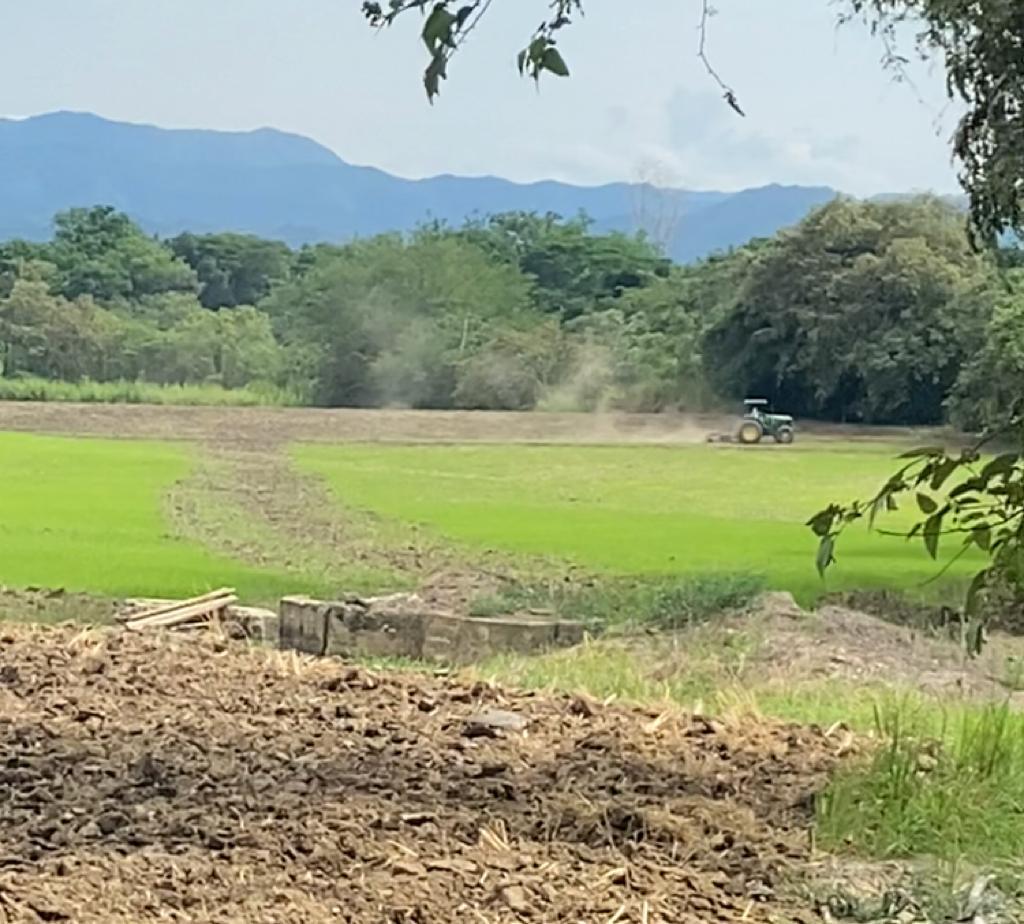 Finca en venta en el Tolima