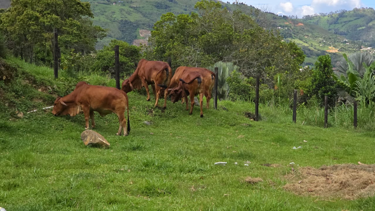 FINCA PARA LA VENTA EN COPACABANA
