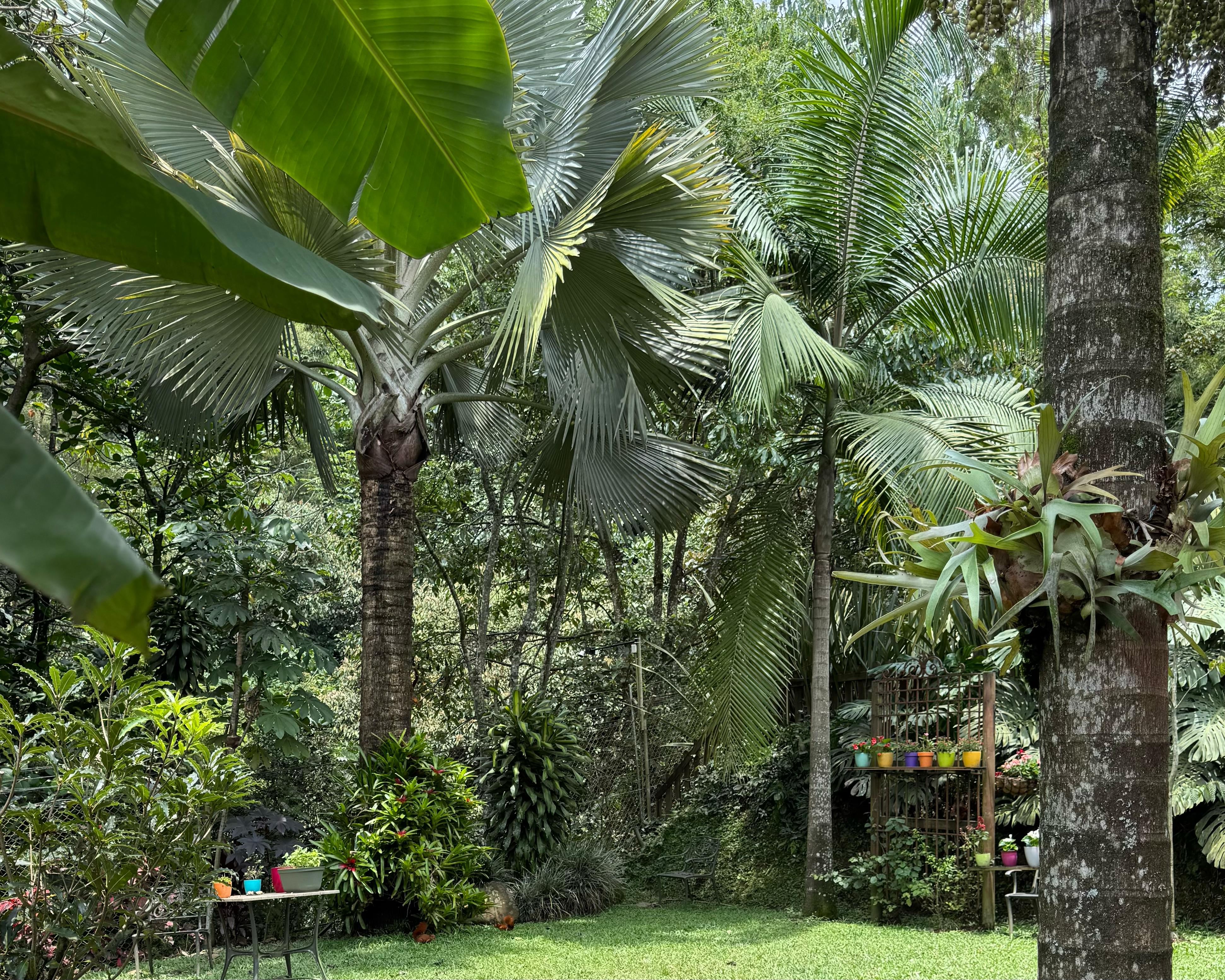 Casa en venta Medellín Poblado Campestre los Balsos