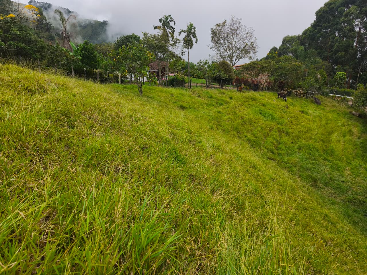 Finca en venta Titiribí Antioquia sector jardín