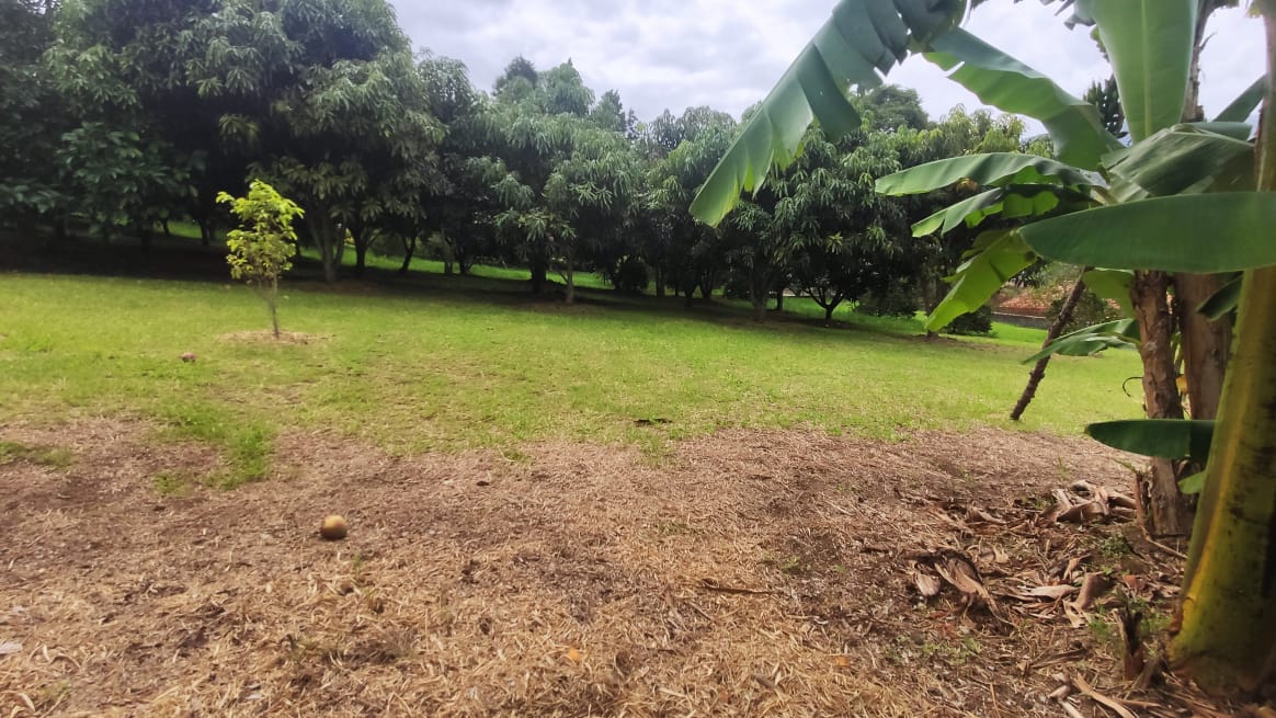 Finca para la venta en Copacabana  Antioquia