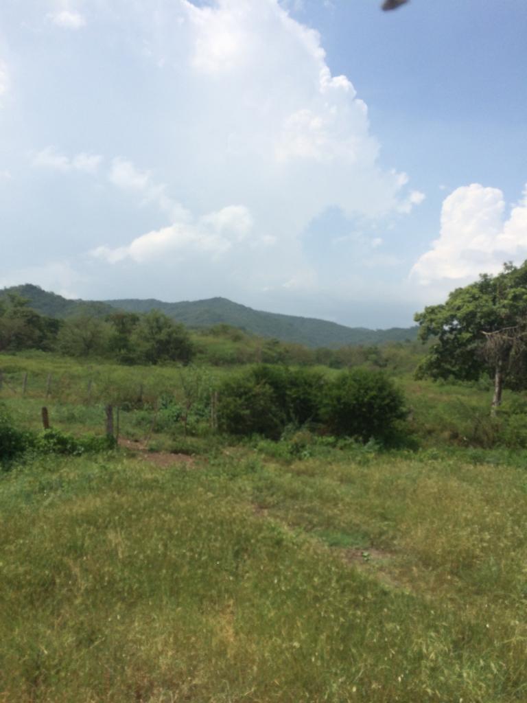 Finca en venta en Honda  Tolima