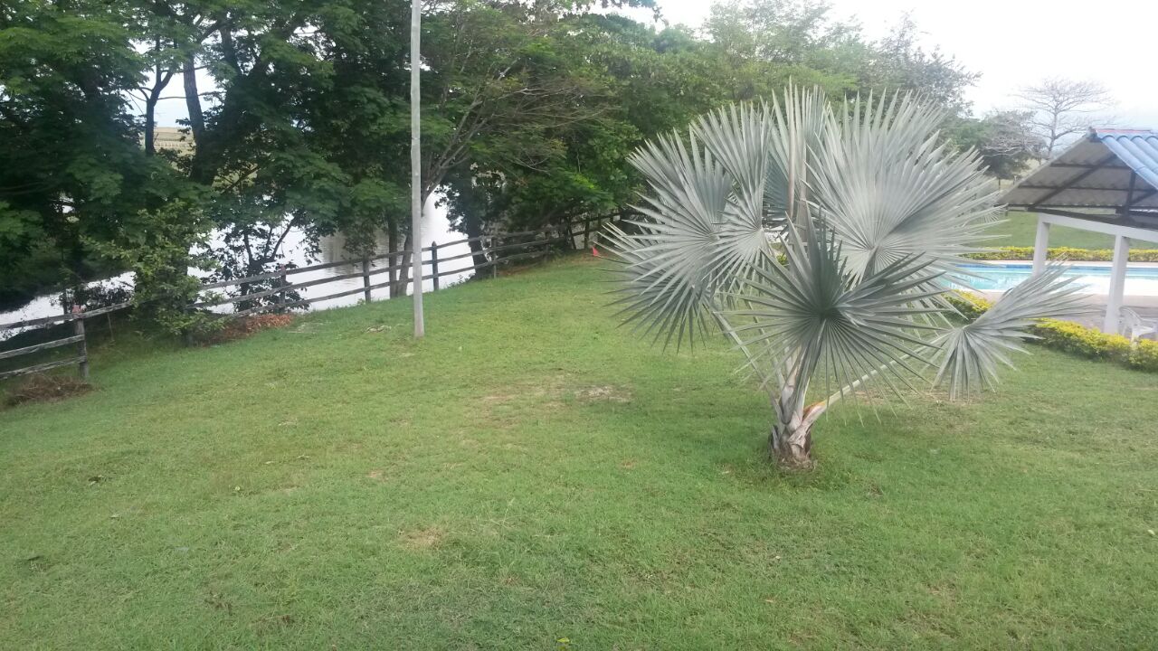 Finca en venta en Saldaña  Tolima