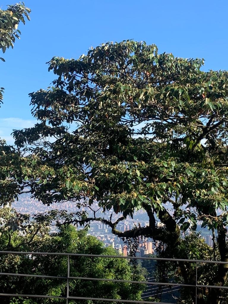 Casa en venta en las Palmas Medellin para rentas cortas