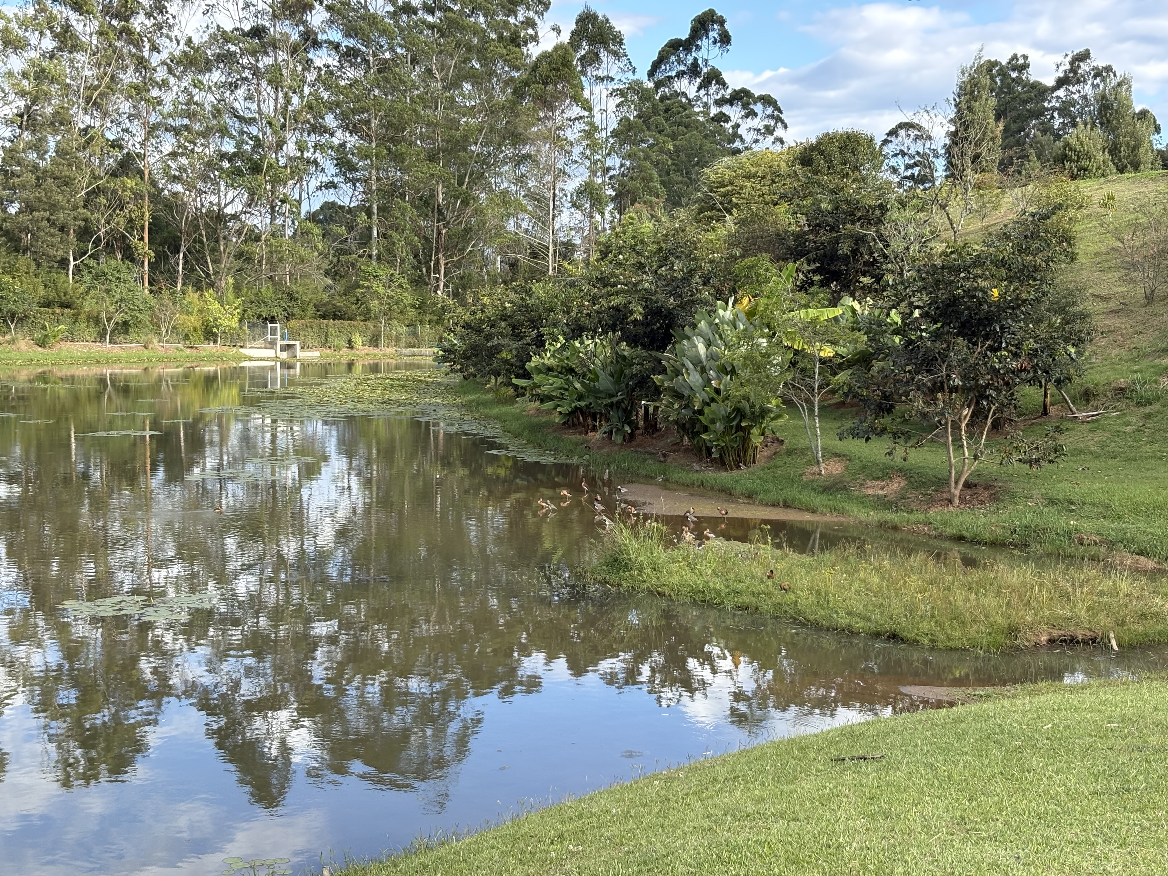 Lote para la venta en Rionegro sector El Tablazo